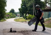 Миниатюра 6