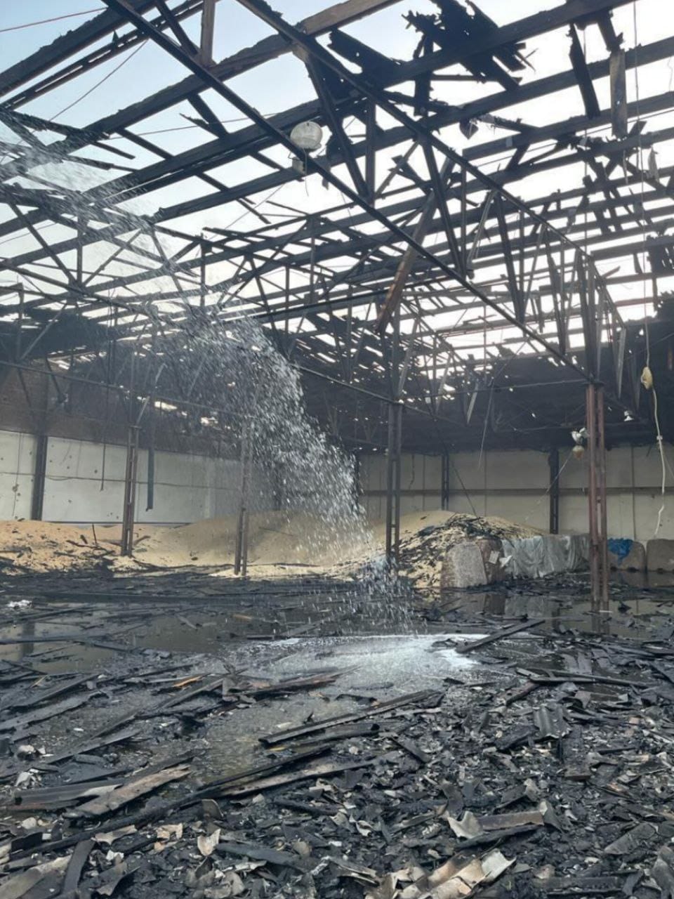 Изображение из галереи