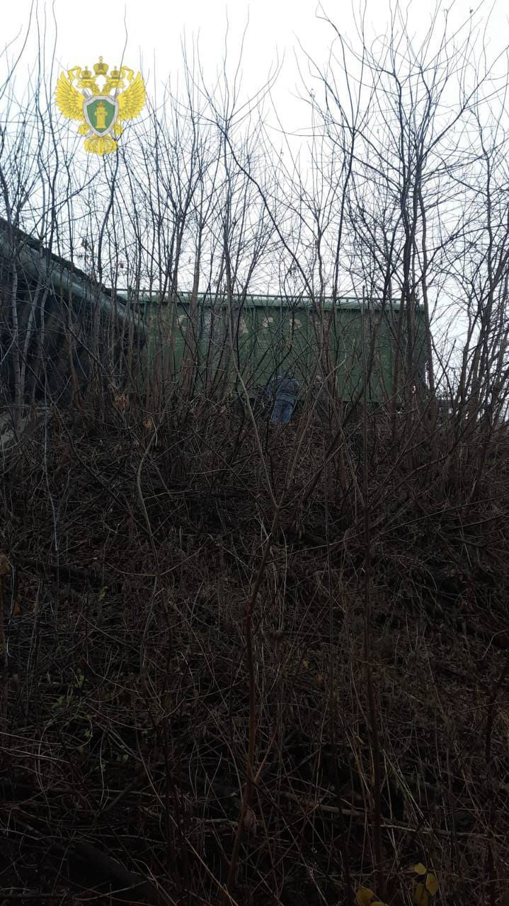 Изображение из галереи