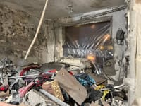 Миниатюра 8