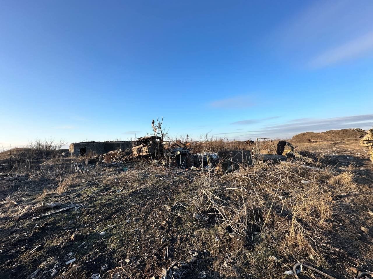 Изображение из галереи