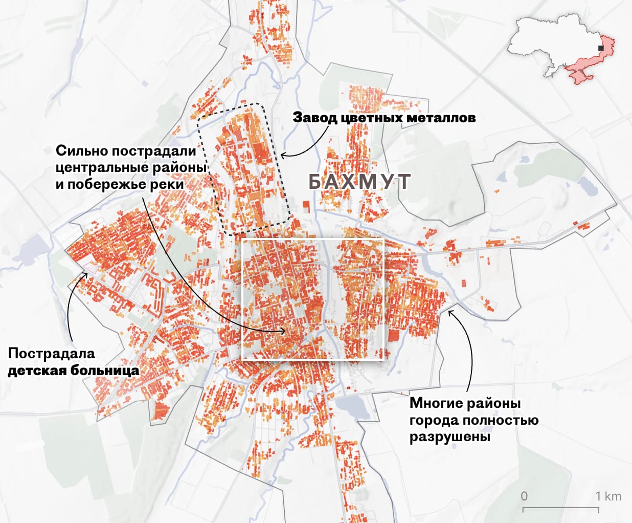 Изображение из галереи