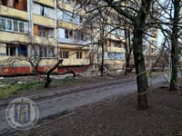 Миниатюра 7