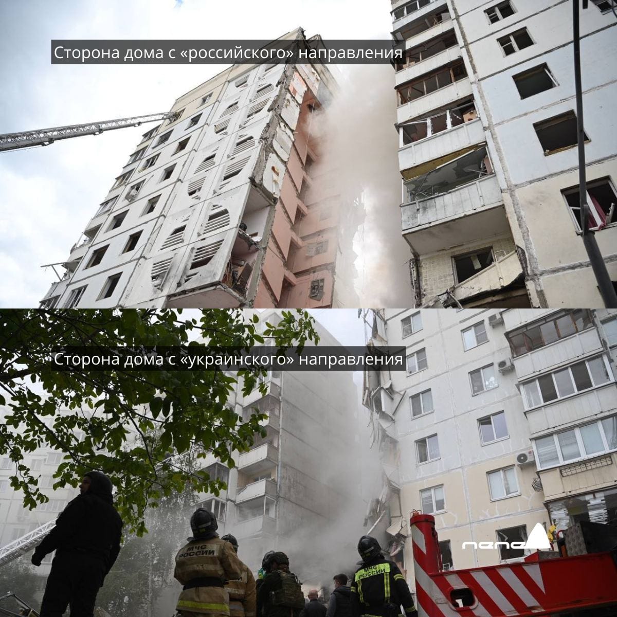 Изображение из галереи