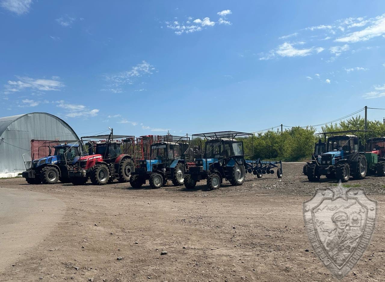 Адаптация приграничья Белгородской области к жизни под обстрелами