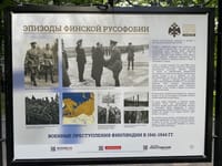 Миниатюра 13