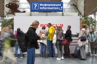 Миниатюра 4