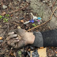 Миниатюра 12