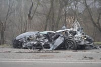 Миниатюра 4