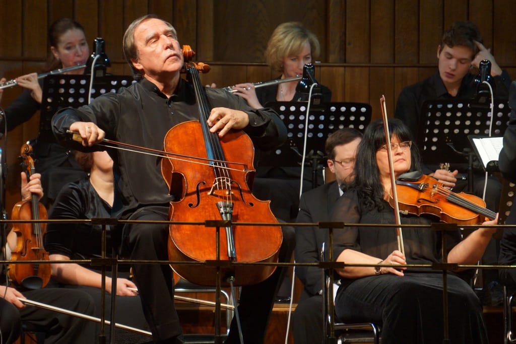 Пилите, Серёжа, пилите! Обнаружен новый записанный на виолончелиста Ролдугина путинский офшор, он засветился в вырубке Химкинского леса