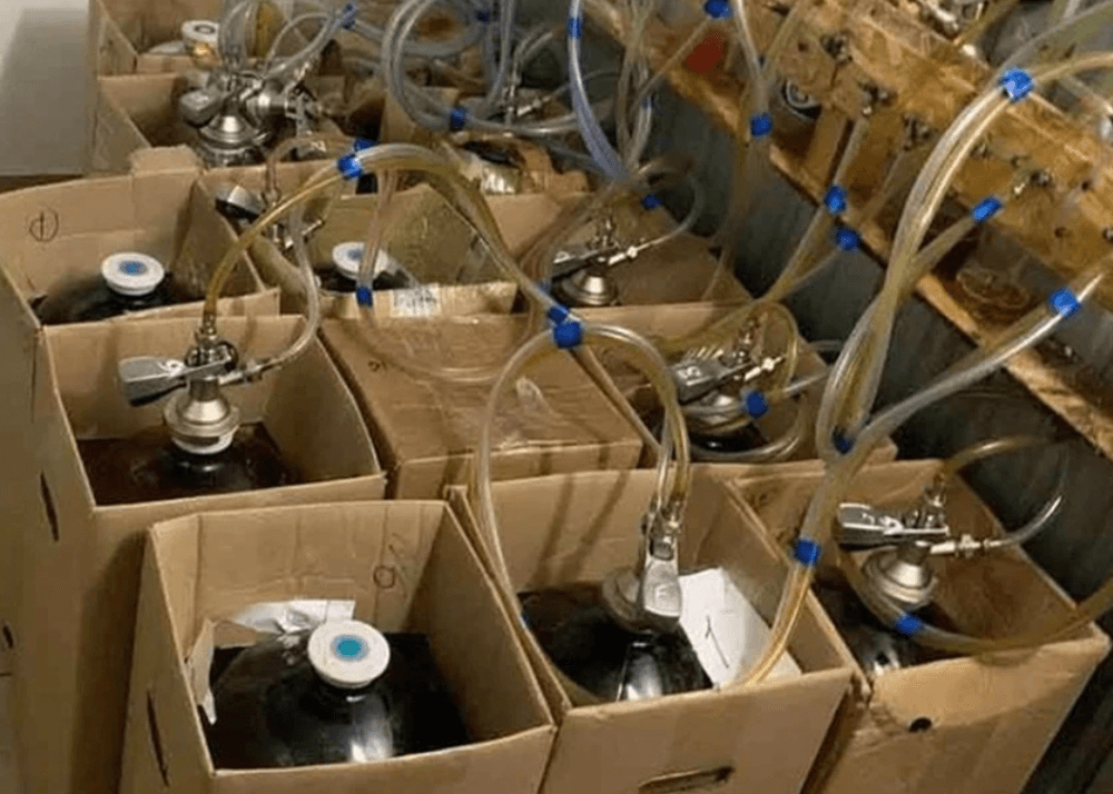 Количество погибших от отравления напитком «Мистер Сидр» в Ульяновской области выросло до 18