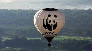 Генпрокуратура РФ признала WWF «нежелательной» организацией