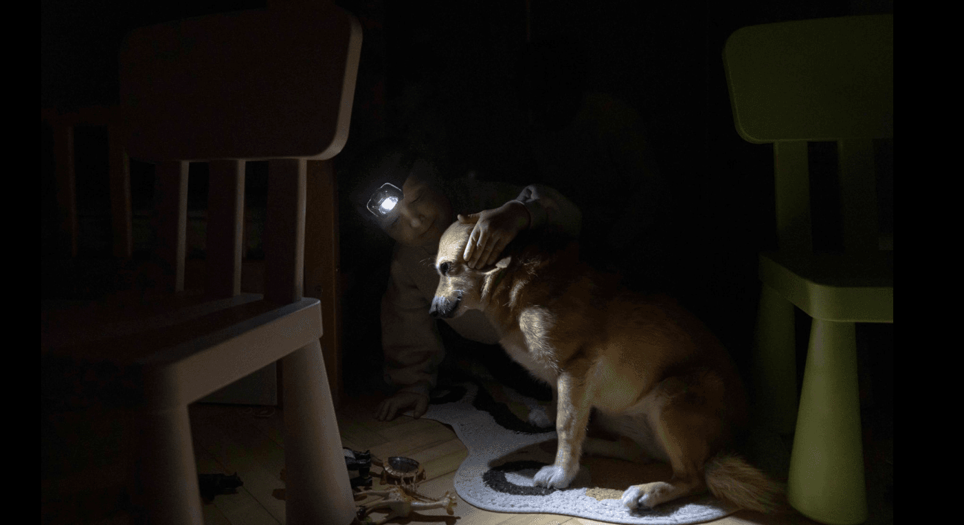 Гретые кирпичи в кровати, купленные в складчину генераторы, свечи вместо ламп: как Киев выживает без света и тепла