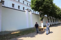 Миниатюра 8