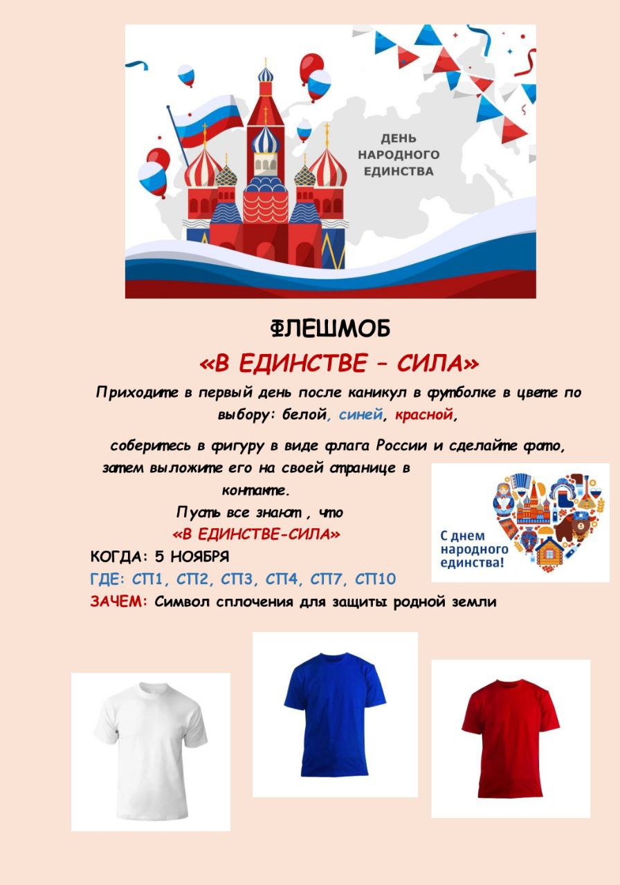 Так выглядит объявление о патриотической акции ко Дню народного единства в школе, где учатся дети Любови