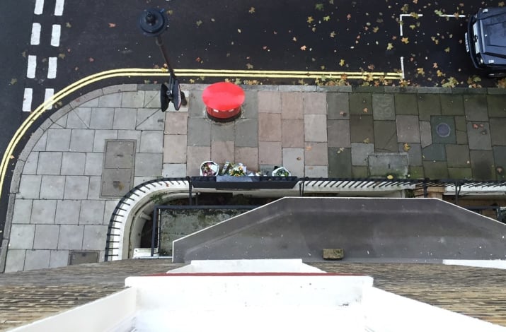 Вид из окна, из которого упал Янг