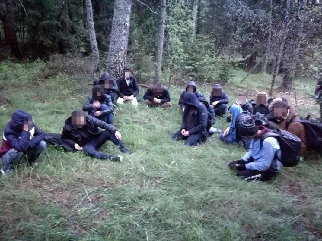 Иллюстрация к материалу