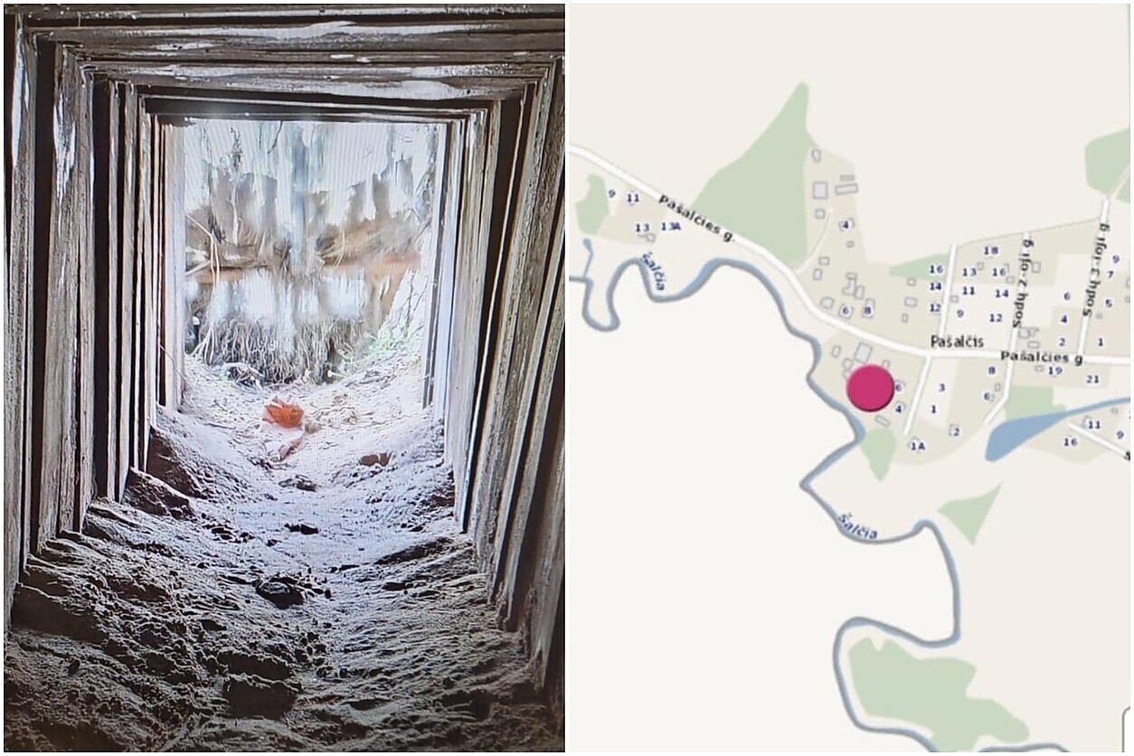 Иллюстрация к материалу